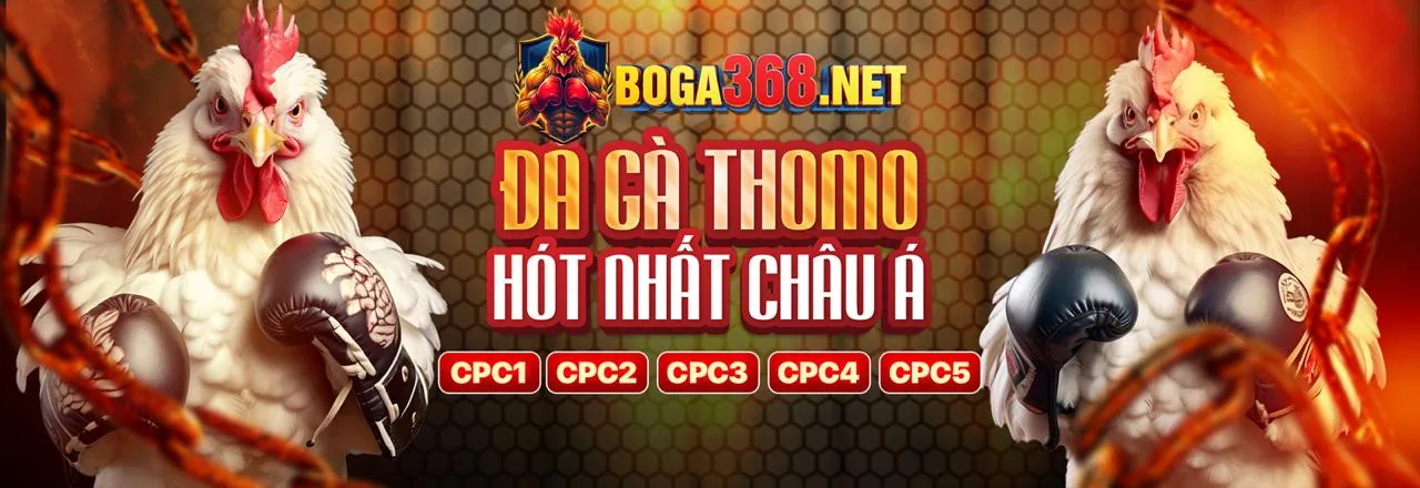 Hình ảnh chính của baosting79 App
